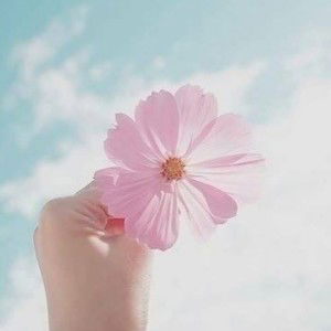 DA Vanida profile icon