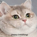 Chanont Koonyotying profile icon
