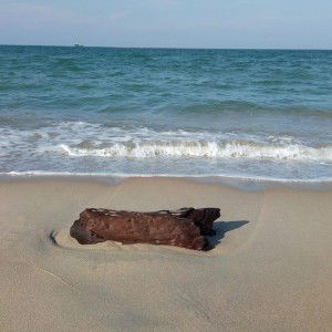 อารีตา บอซู profile icon