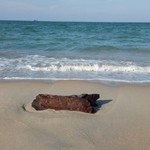 อารีตา บอซู profile icon