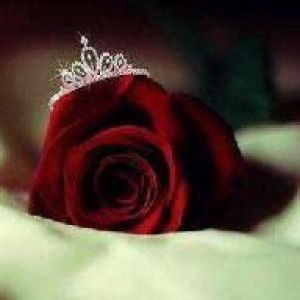 Mawaddah Warahmah profile icon