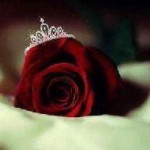 Mawaddah Warahmah profile icon