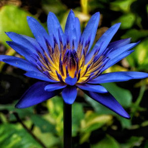 Ummu Zayd profile icon