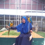 Rohima Mulyati profile icon