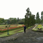 Ristya Pebriani profile icon