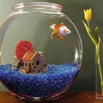 Aizatul Ulla profile icon