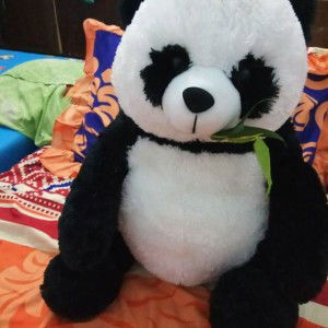 Diiana Rahmayantii profile icon