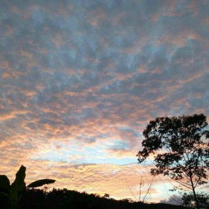 Cica Susanti profile icon