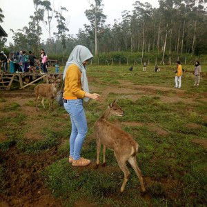 IkKa Fitrianna profile icon