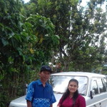 Dorma Hernita Tambunan profile icon