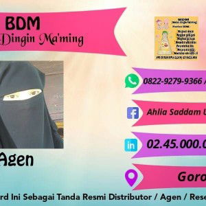 Ahlia Saddam Ummah Ruqsyah profile icon