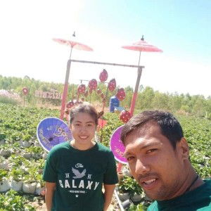 เมย์ เมย์ profile icon