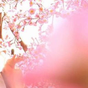 phiea kim na na profile icon