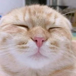 กาลเวลา กับ การเดินทาง profile icon