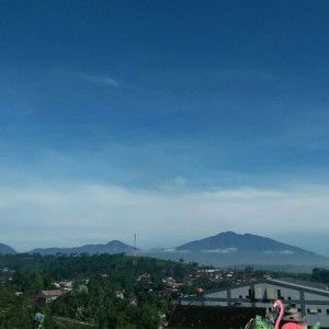 Citra Ismayanti profile icon