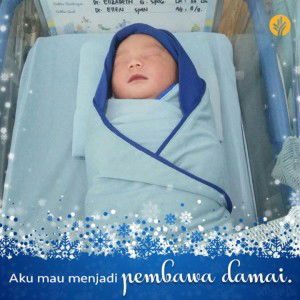 Lia Hasibuan profile icon