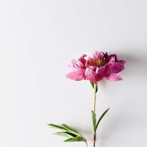 Dian Satriana profile icon