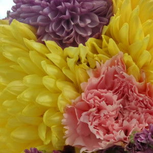 abby gee profile icon