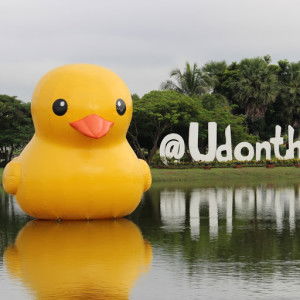 Chanyaphak Bualuang profile icon