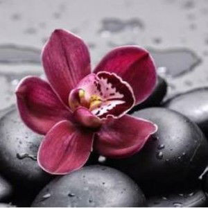 Septy Andari profile icon