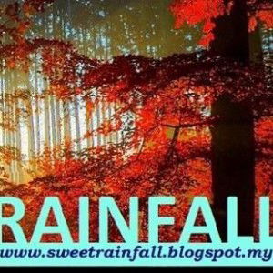 Rain Fall profile icon