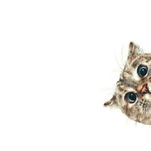 Joyz Bertillo profile icon