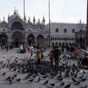 Rizky Amellia profile icon