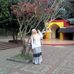 Lia Hikmatul Maula profile icon