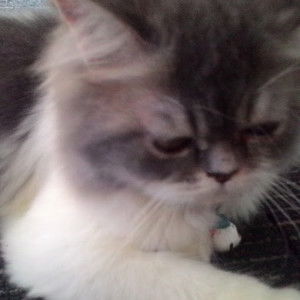 Jumriati Wahyu N JH (Atik) profile icon