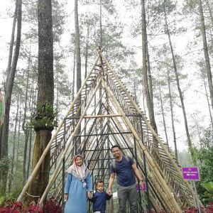 Pit Suhaeni profile icon