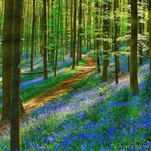 Hazhiyah Ramadhani profile icon