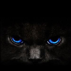 kan kaia profile icon