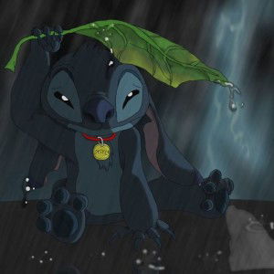 Ann Ann profile icon