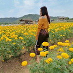 Tonaor Pornpimol profile icon