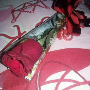 Atil El-ghenia profile icon