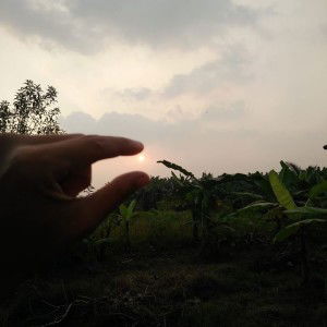 Siswi Yulaida profile icon