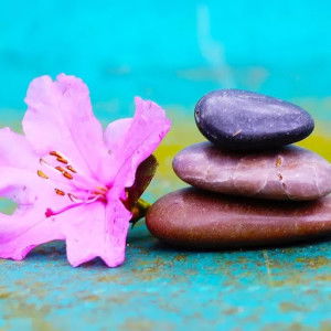 Via Bunga Clarinda profile icon