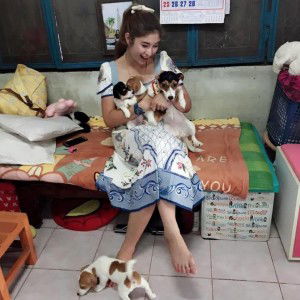 Monlisa Phadoongchay profile icon