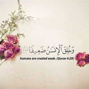 Hibby Bee profile icon