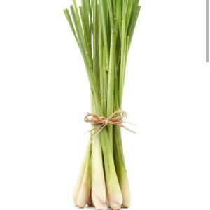 ยายจัน คนคู่ดิน profile icon