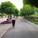 Pumpuy Dps profile icon