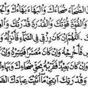 Renita Widia profile icon