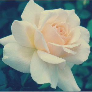 Justinah Simon profile icon