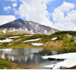 Caecilia Anongrasamee profile icon