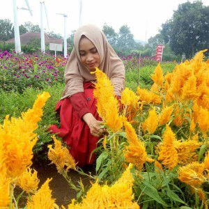 Tutik Yulia profile icon