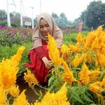 Tutik Yulia profile icon