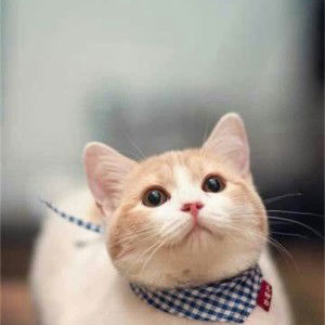 Fuzii Fuzii profile icon