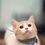 Fuzii Fuzii profile icon