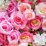 Ais Sholihah Istiqomah profile icon