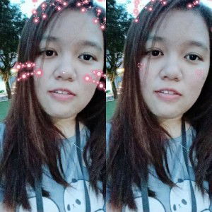 Xin Jin profile icon